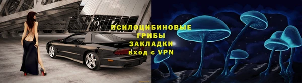 индика Беломорск