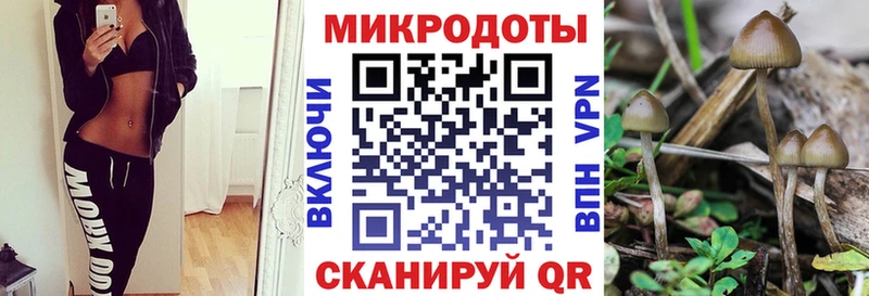 Галлюциногенные грибы Psilocybe  где можно купить наркотик  Волжск 
